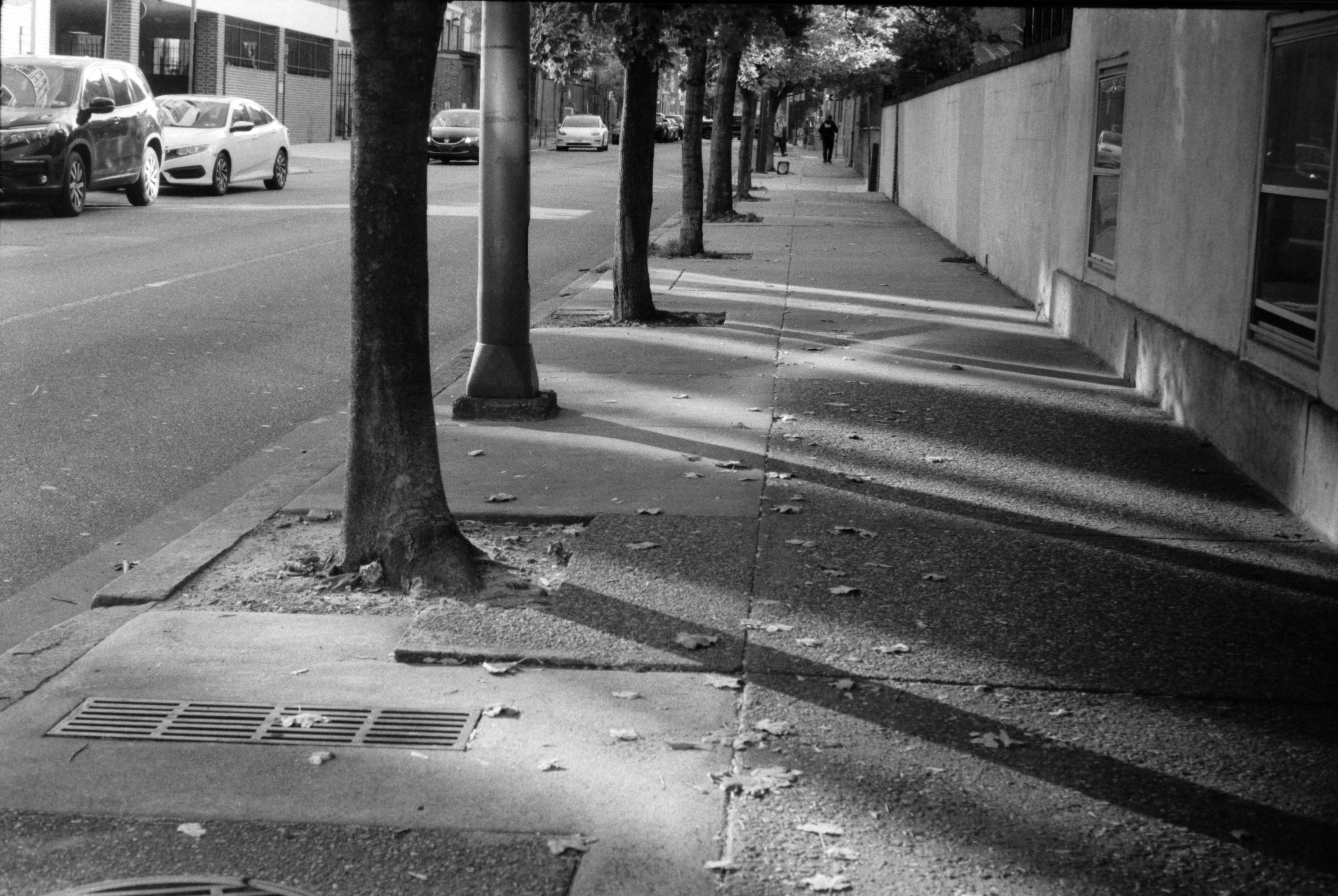 Photography subject 8