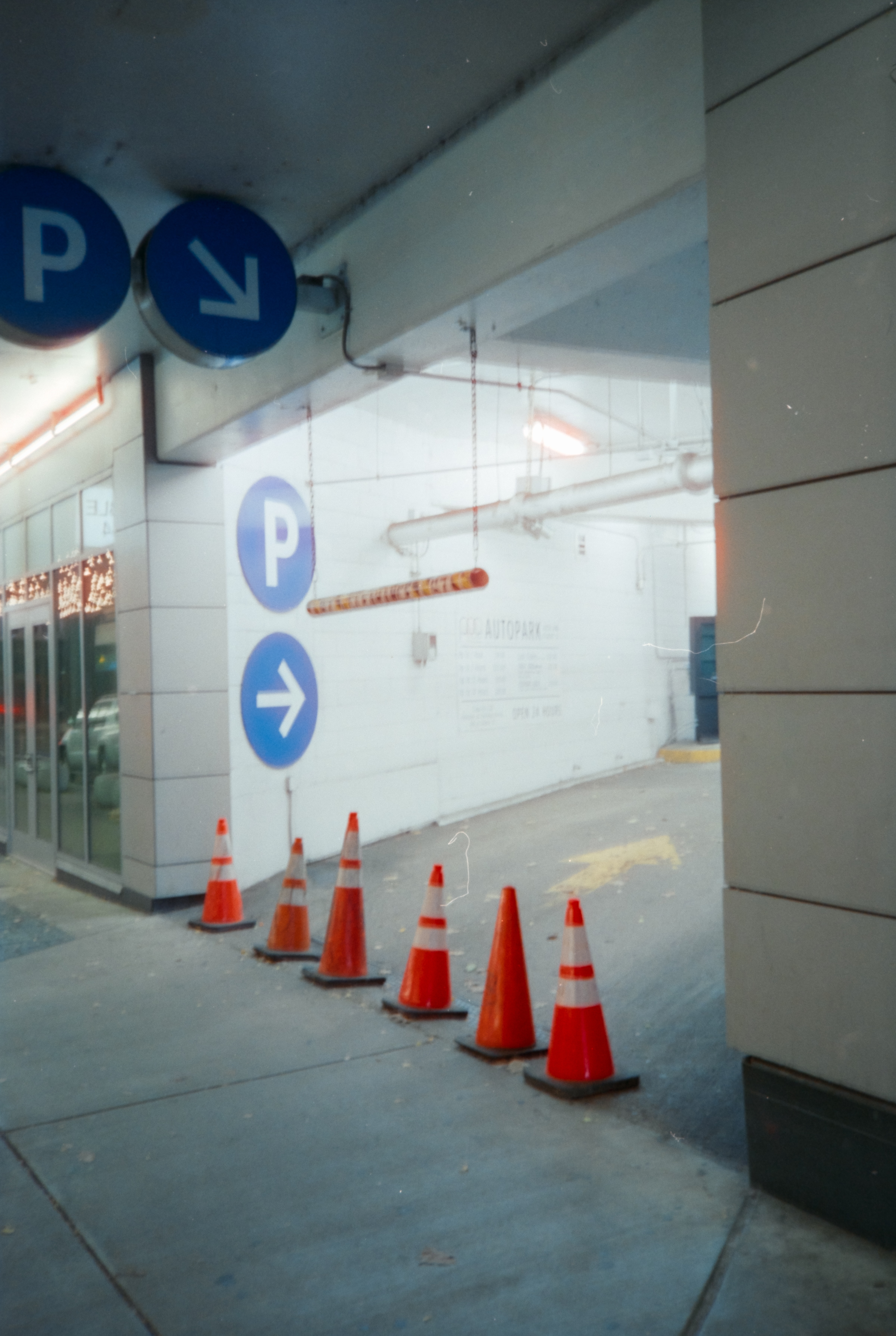 Photography subject 9