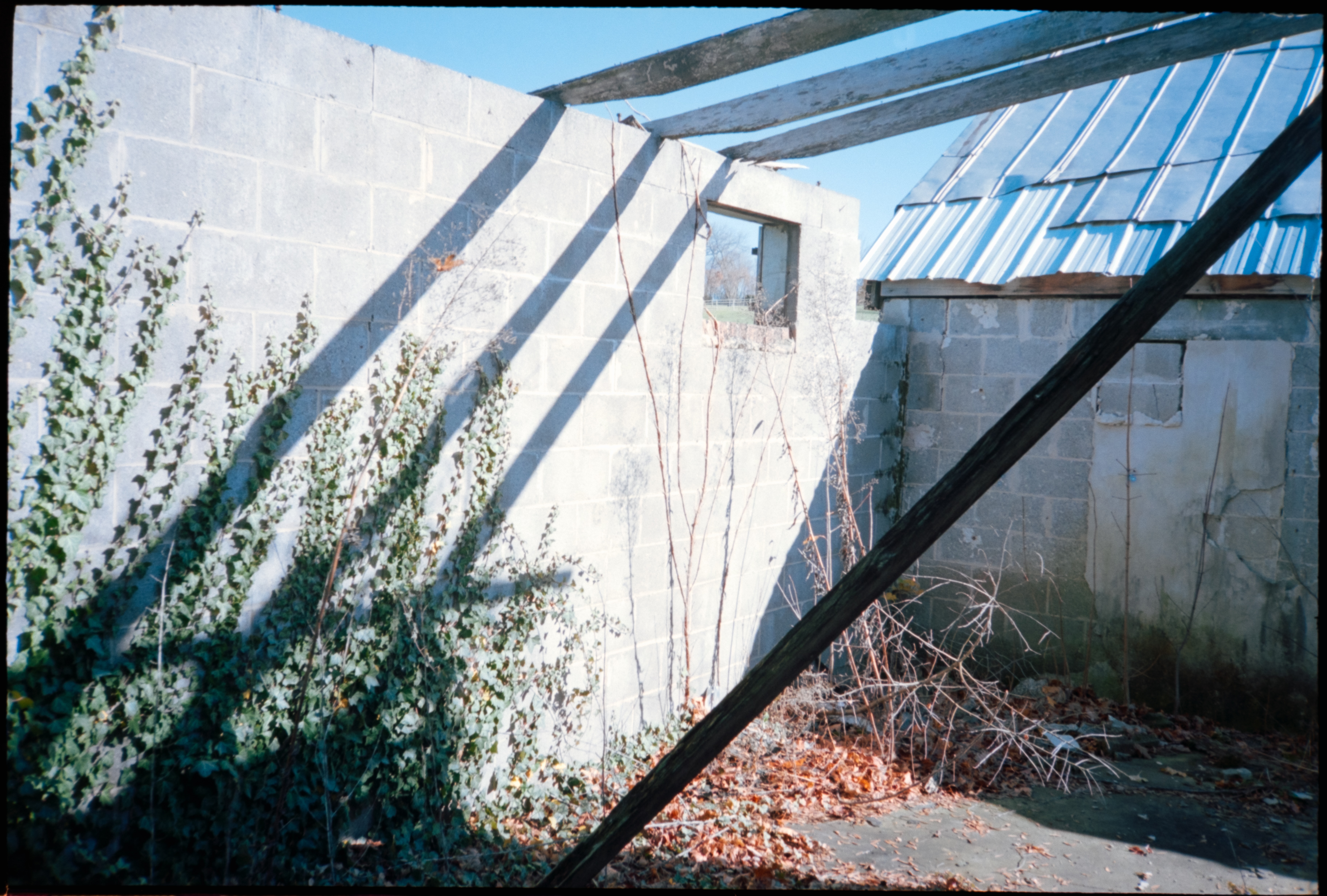 Photography subject 11