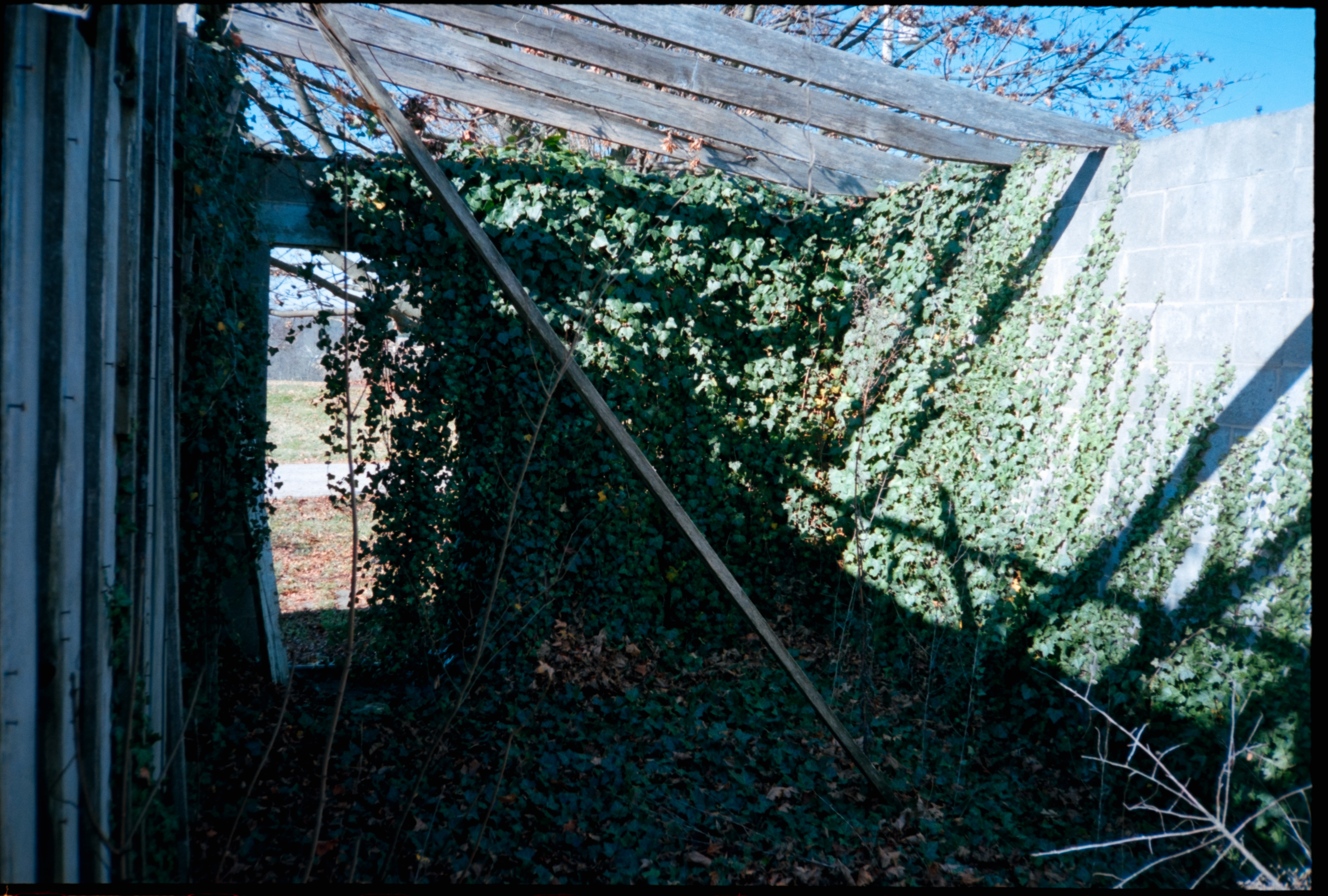 Photography subject 12