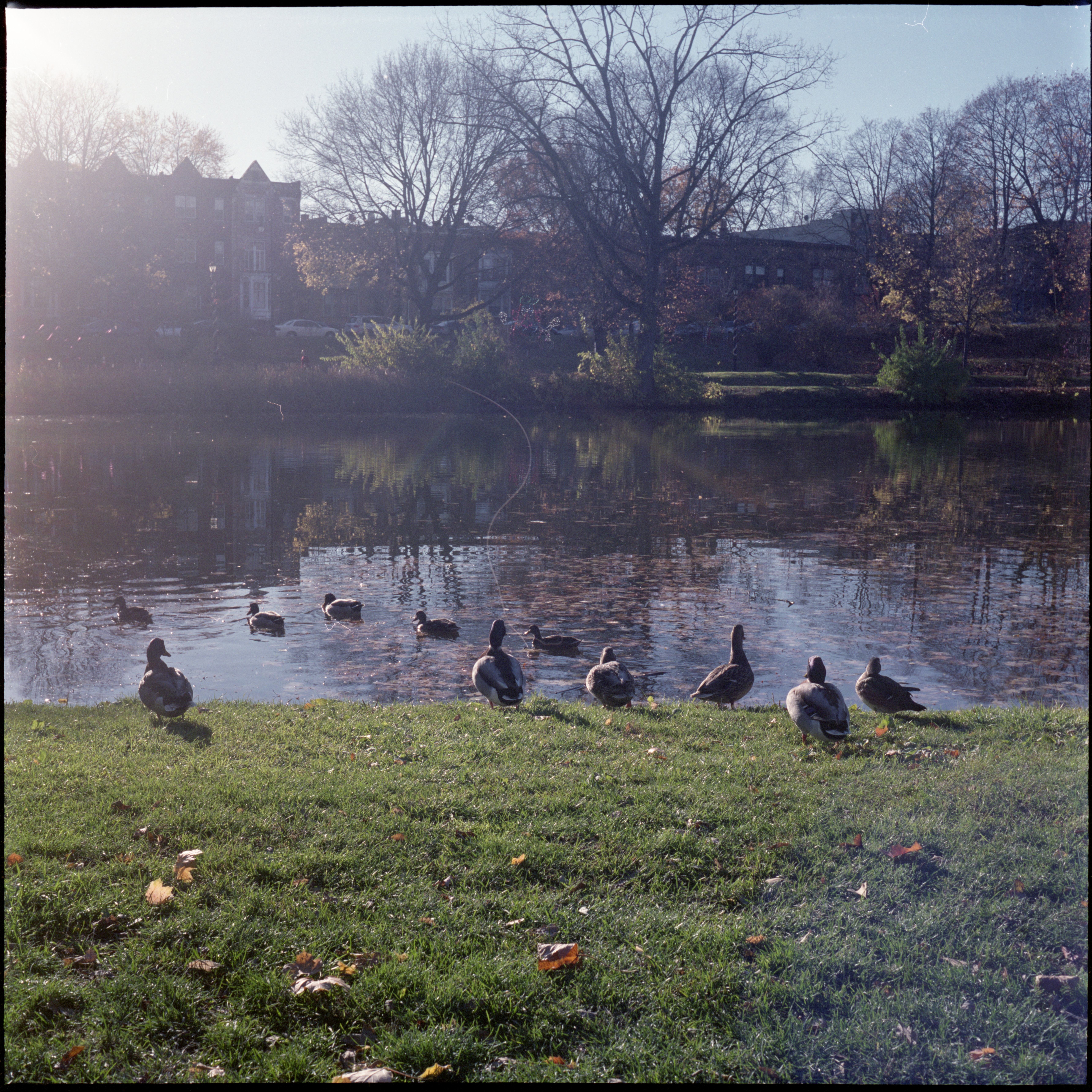 Photography subject 3