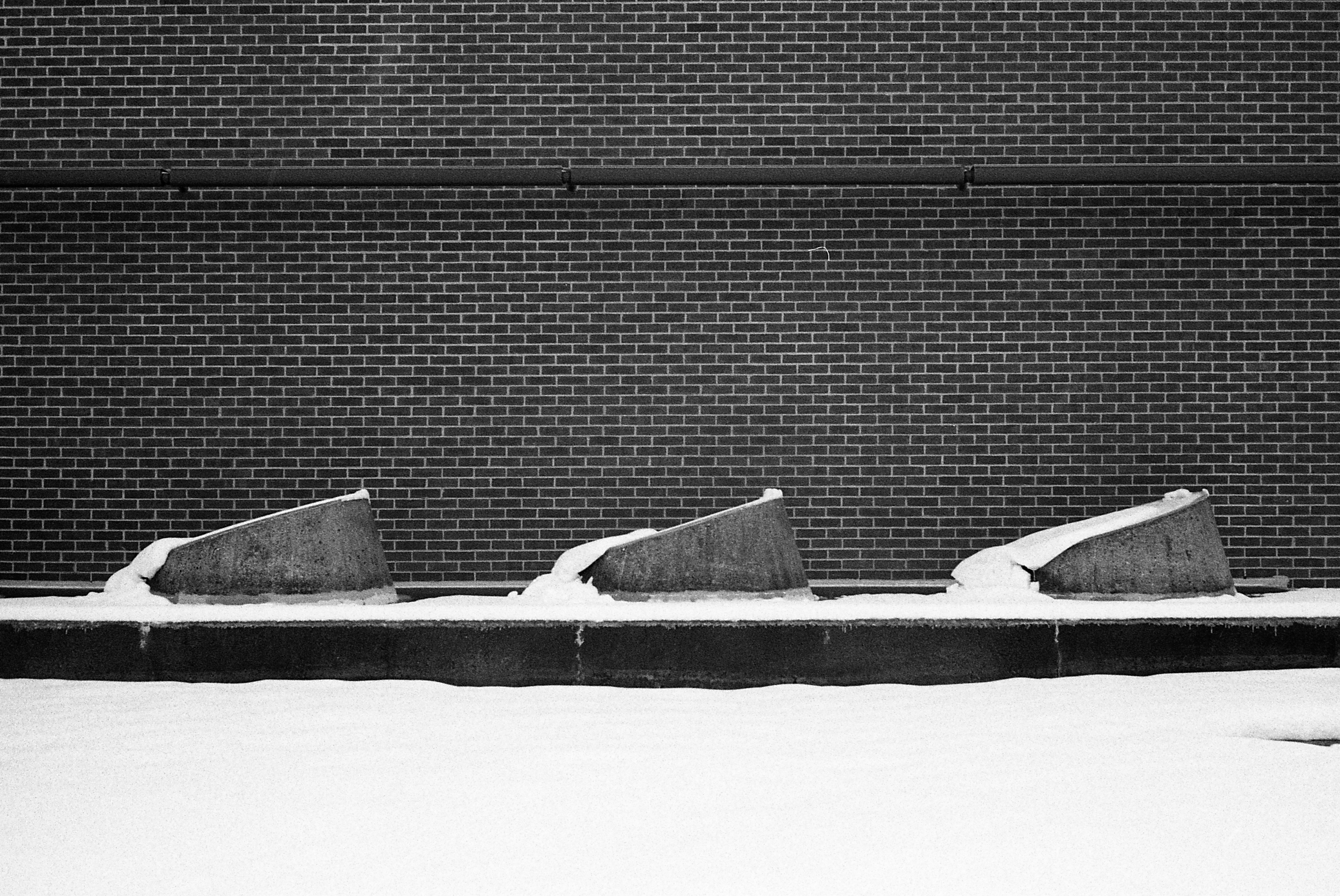 Photography subject 14