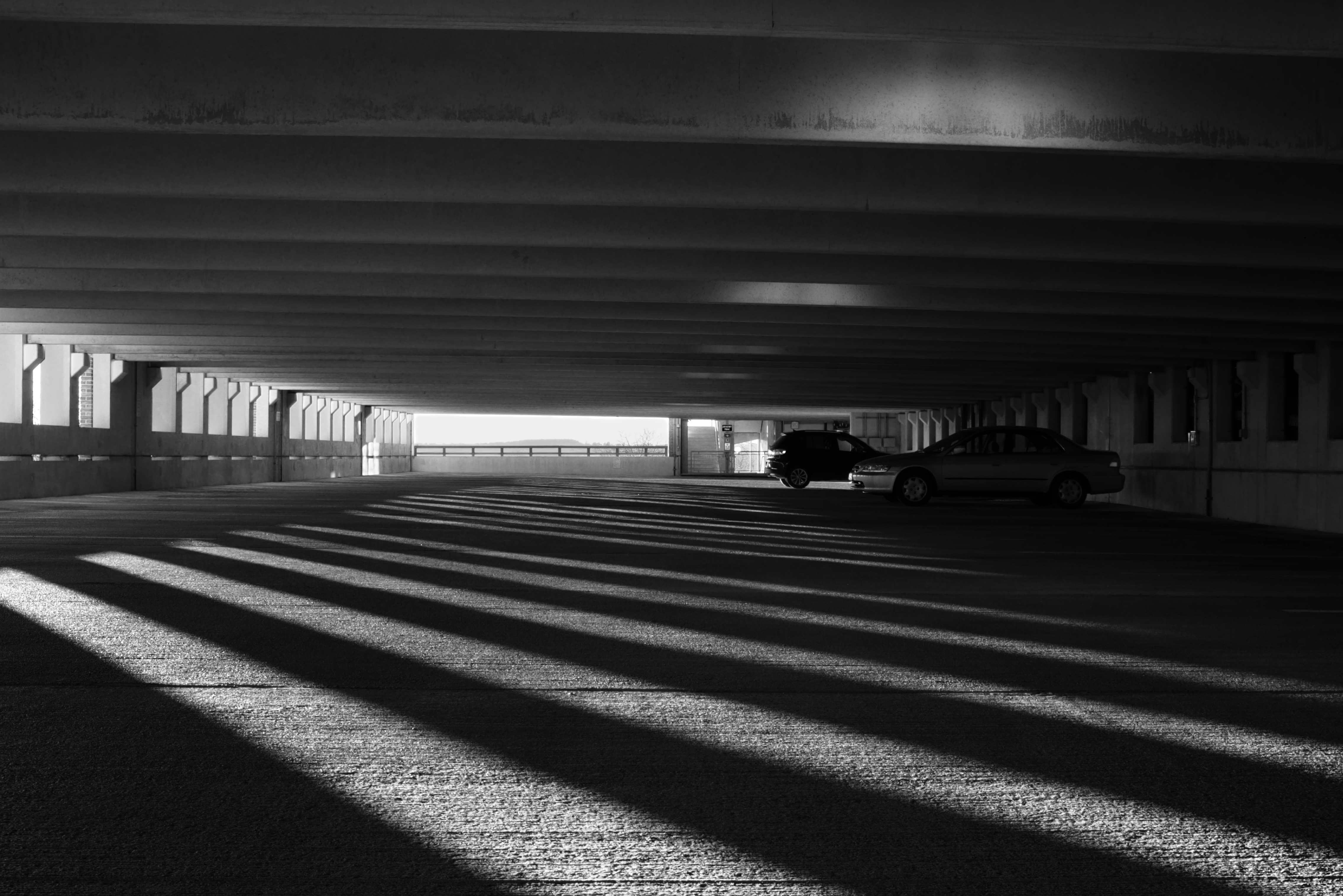 Photography subject 14