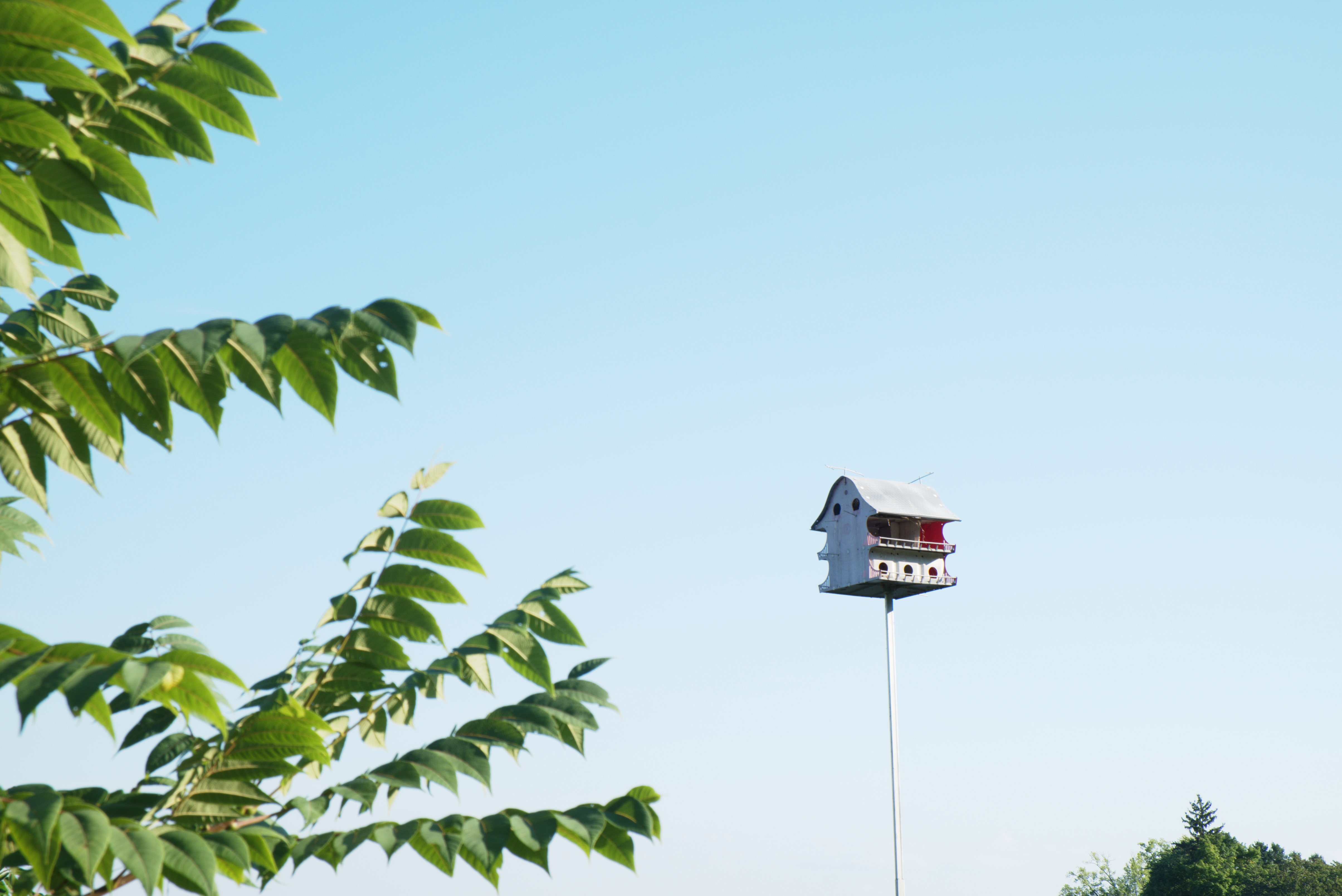 Photography subject 15